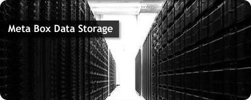 Data Storage Modes